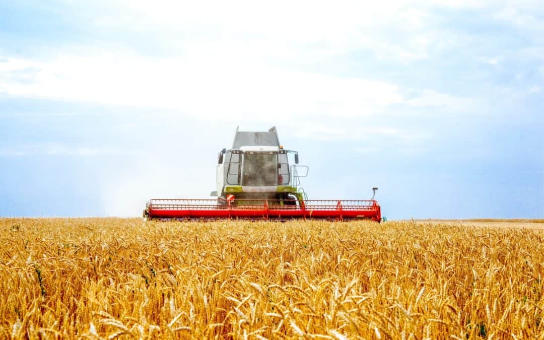 Kombajni za male površine – postoje li isplative opcije?